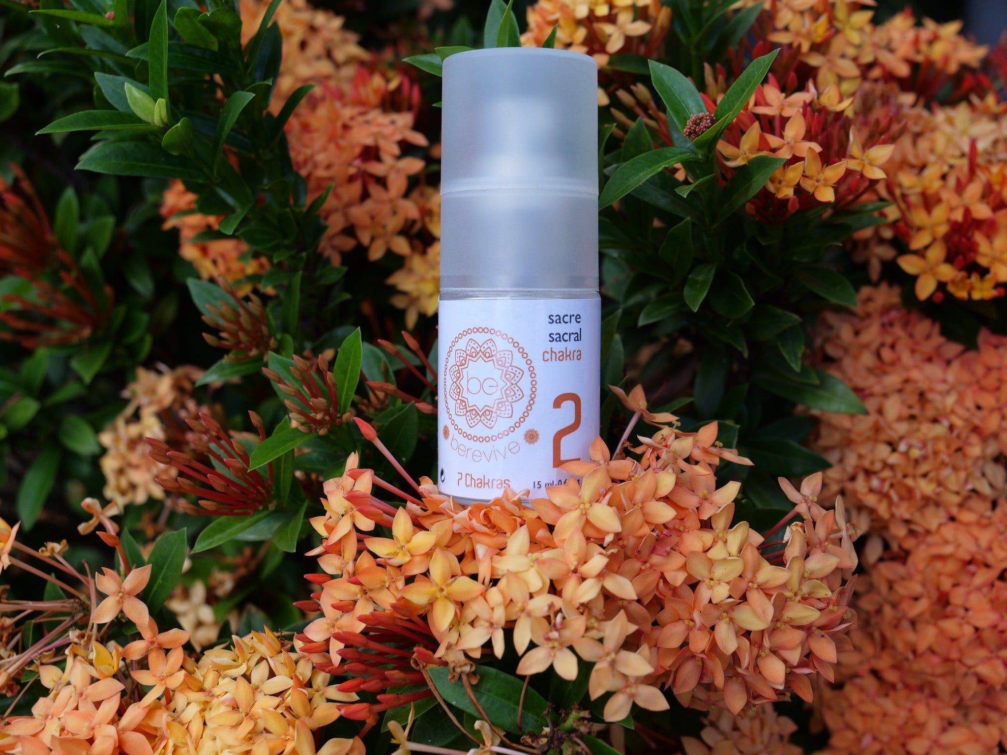 Synergie d'huiles essentielles pour harmoniser et ouvrir le chakra Sacré